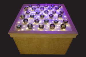 5)1-14-11_8119-Step-Right-Up